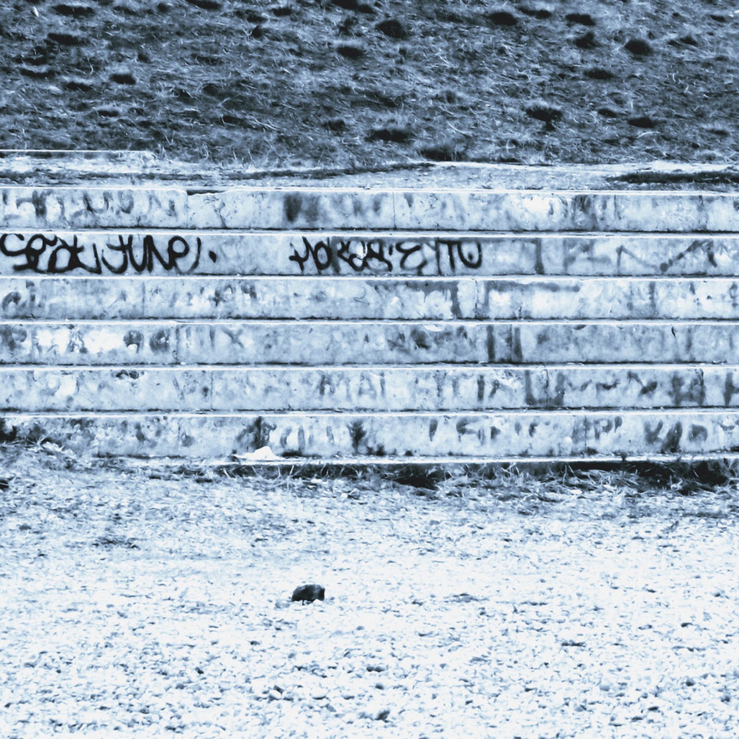 VOID PLEASANTRIES Unveils “When in Rome”: A Soul-Stirring Journey of Harmonious Growth by John and Ross McKellar