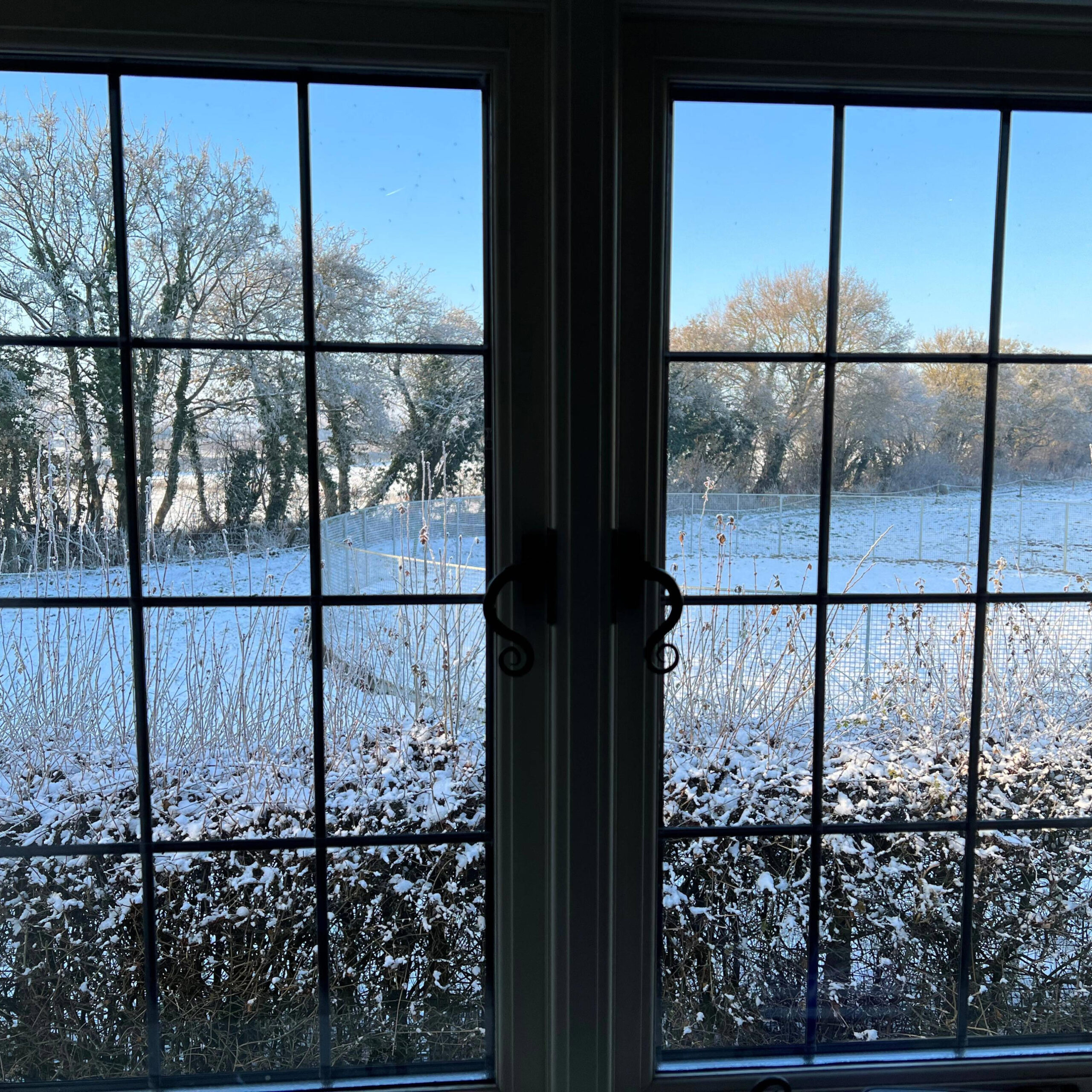 Alan Dweck’s Thought-Provoking Release: “Lockdown Song”