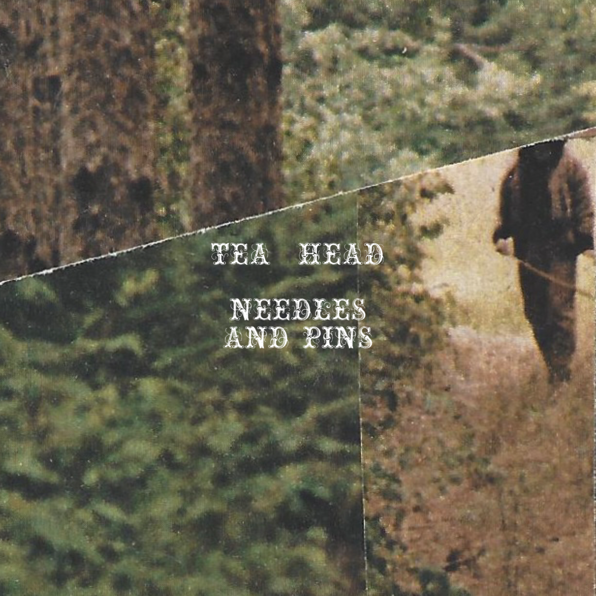 TEA HEAD Unveils Dynamic Anthem “Needles and Pins” – A Melodic Exploration of Society’s Struggles