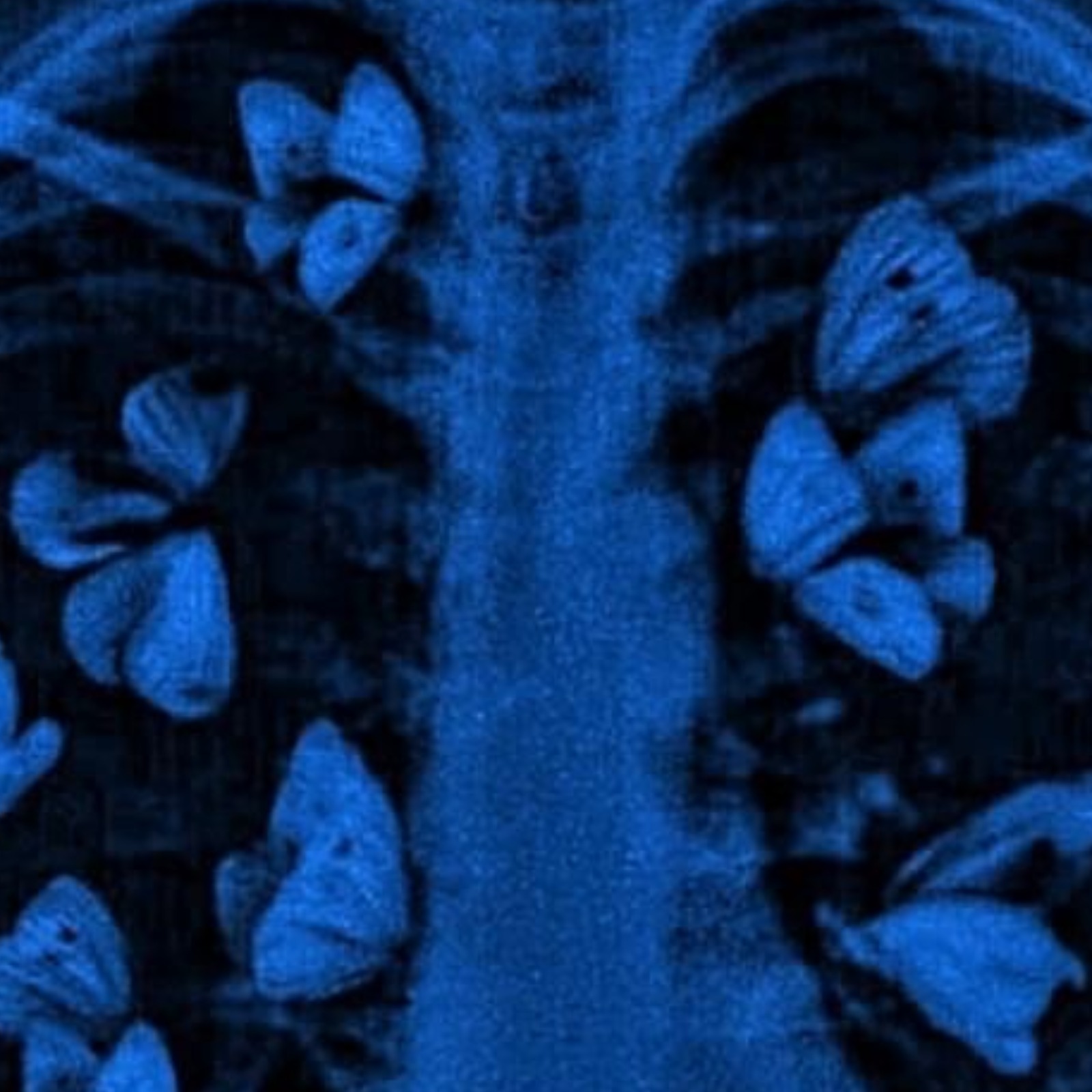 Maddy Suppez Unwraps “Art of Healing”: A Soul-Enriching Journey Through the Maze of Recovery