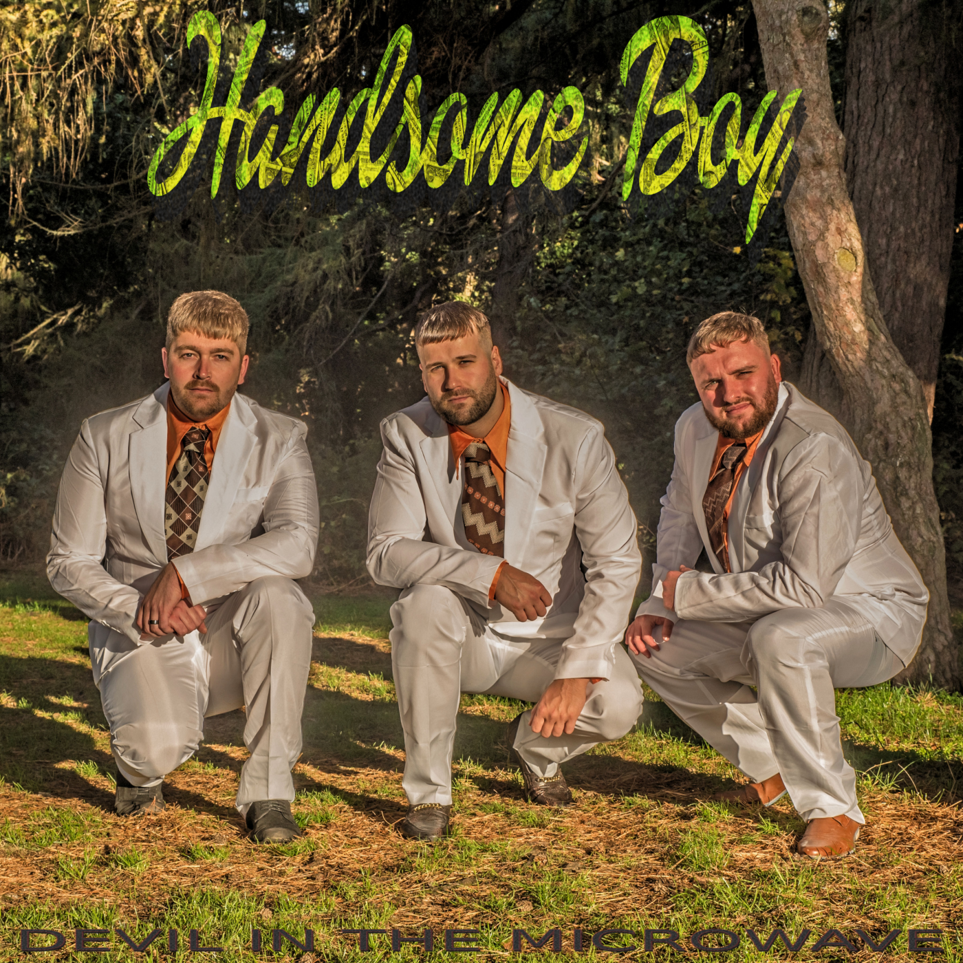 Devil In The Microwave: Unveiling “Handsome Boy” – A Sonic Odyssey