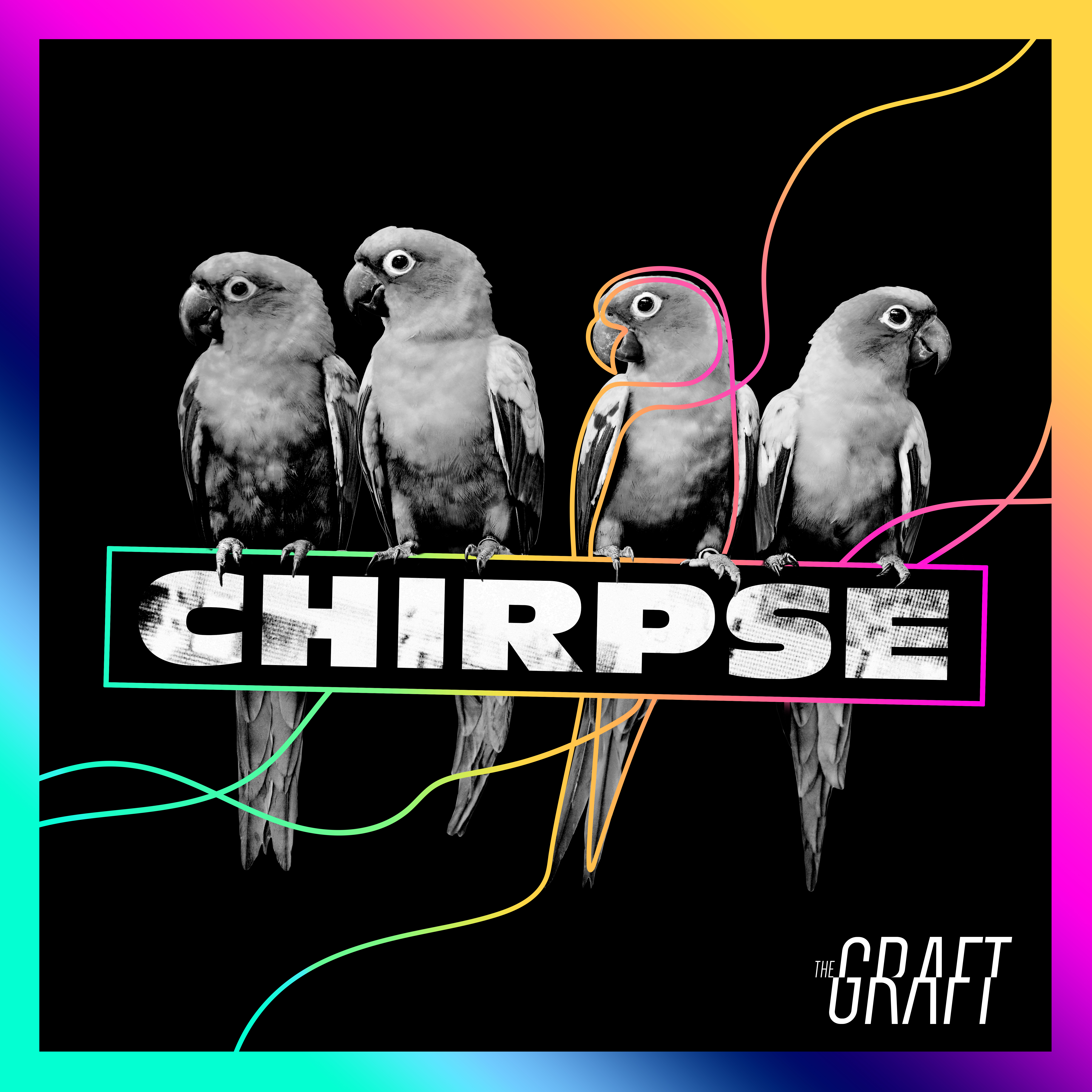 The Graft’s Debut Album ‘Chirpse’: A London Love Journey Unleashed