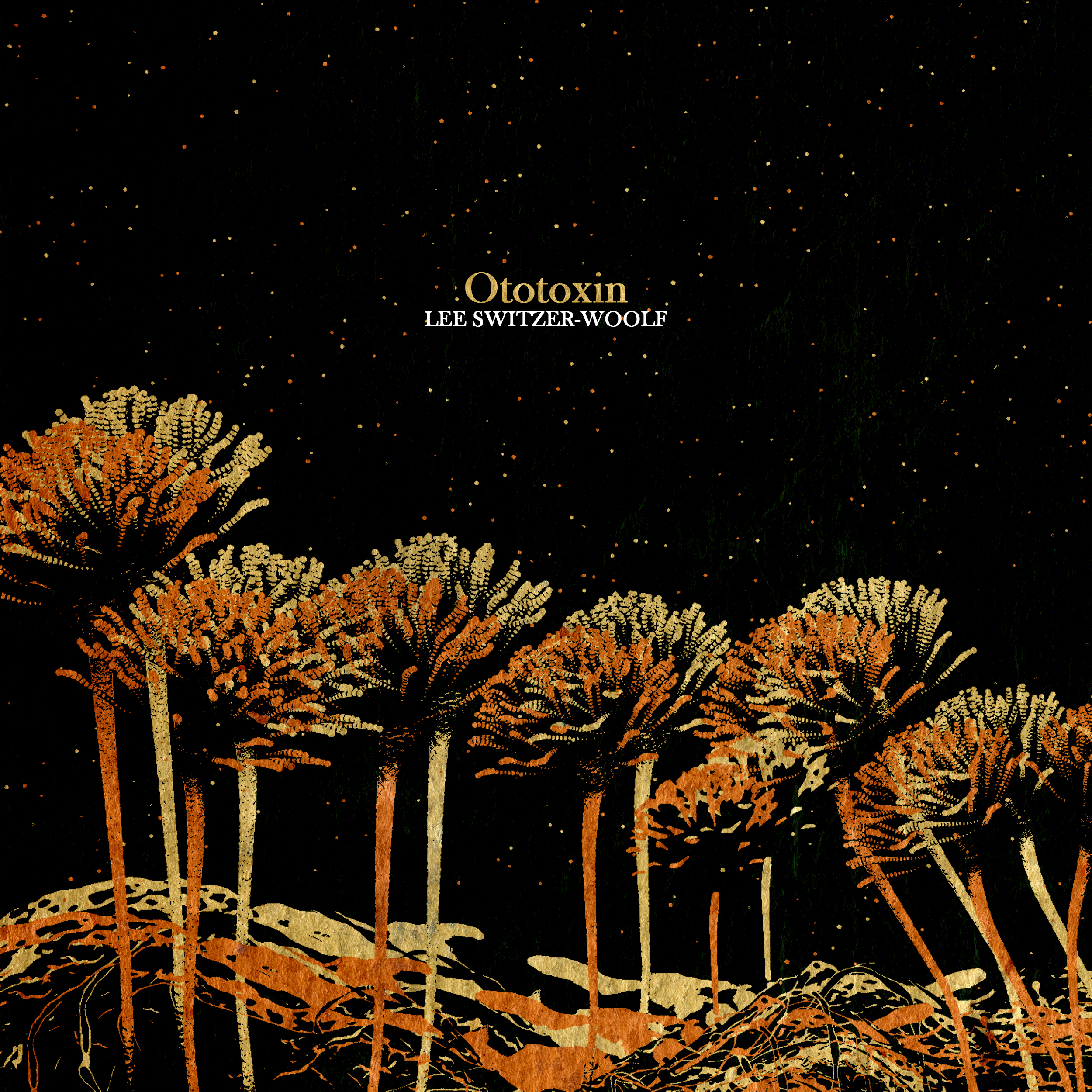 Lee Switzer-Woolf Unveils ‘Ototoxin’: A Soulful Ode and Personal Journey