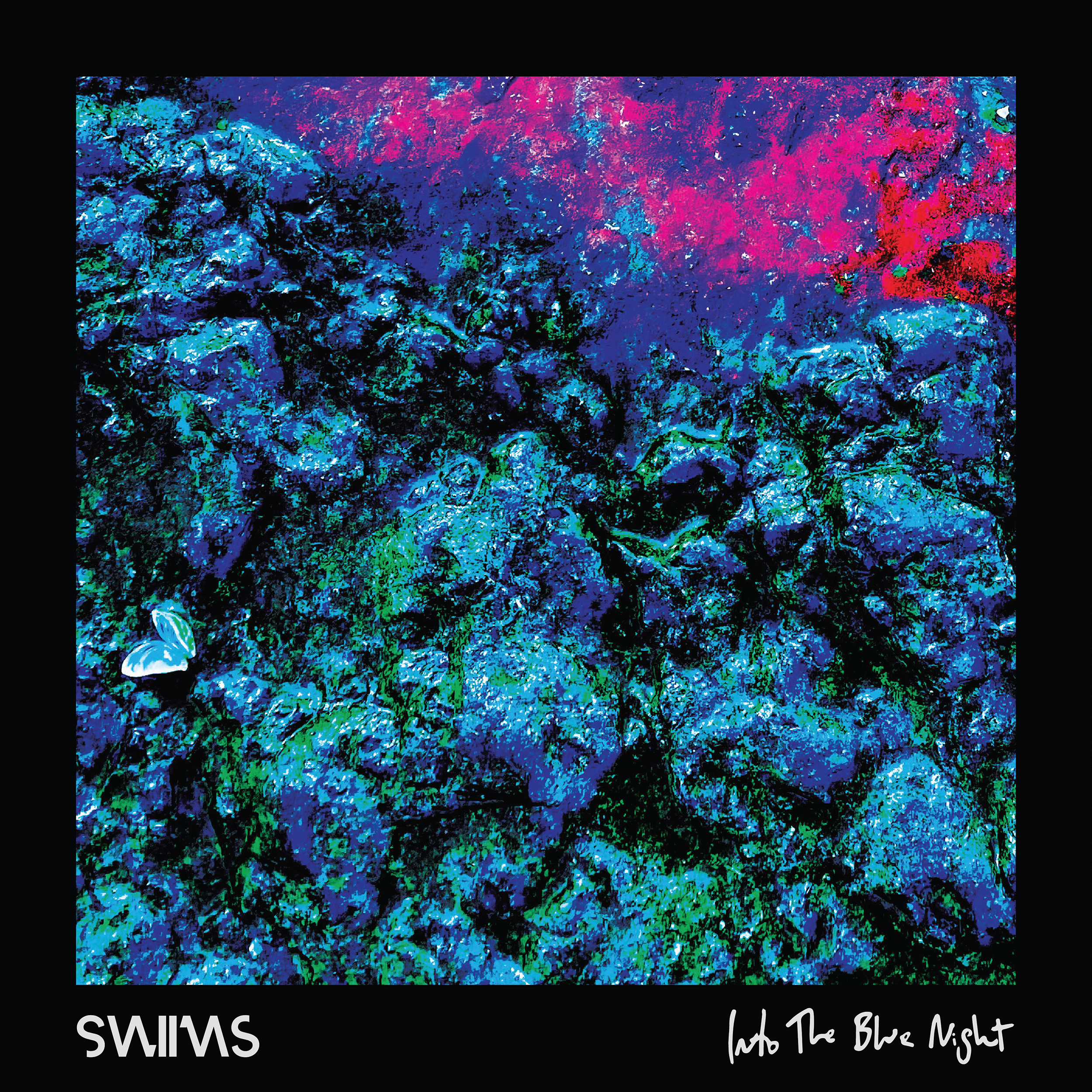 SWiiMS Dives “Into The Blue Night” with Anticipated Debut Album