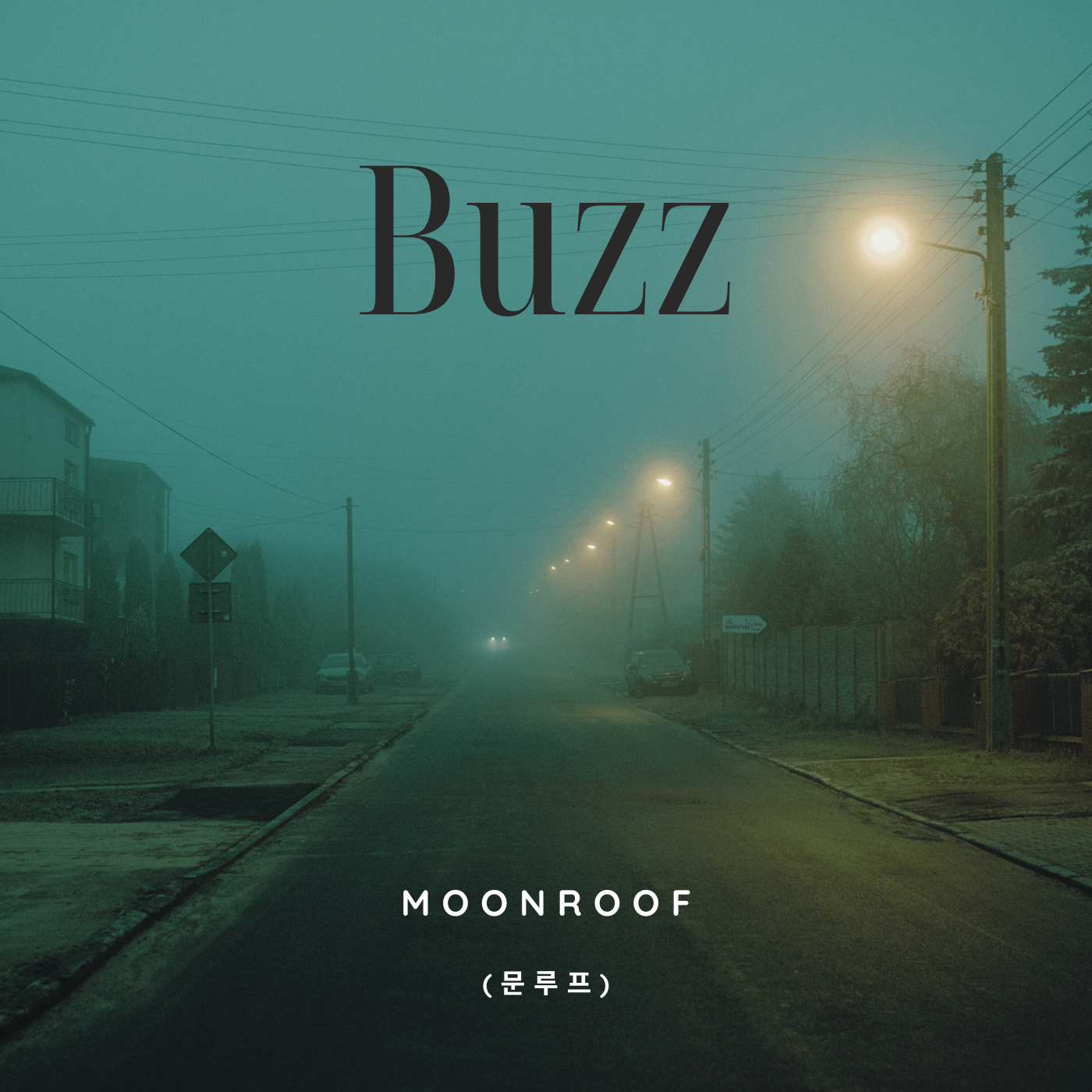 MOONROOF Releases New Single “Buzz” – A Catchy Tune with a Modern Twist on Love