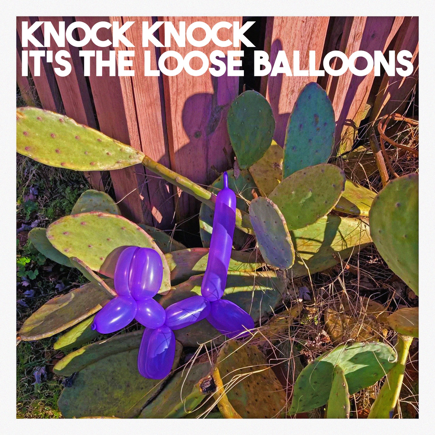 Knock Knock It’s The Loose Balloons by Mahto & The Loose Balloons