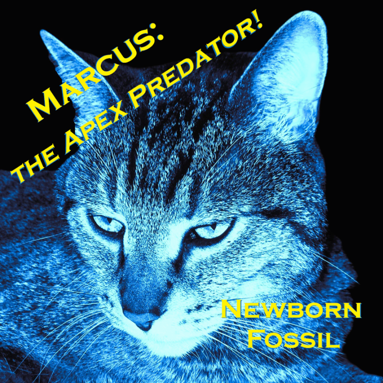 Marcus: The Apex Predator! – Newborn Fossil