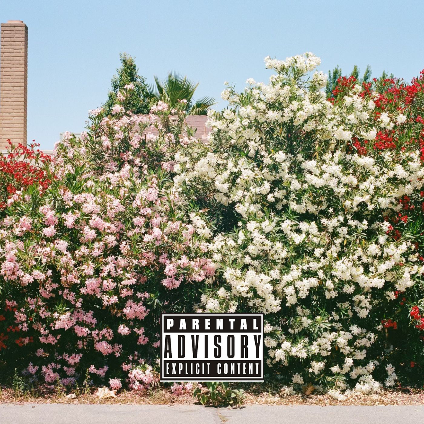 Pronto Valid Redefines the Sound of Chicago with Bold New Single “UK V!BES”