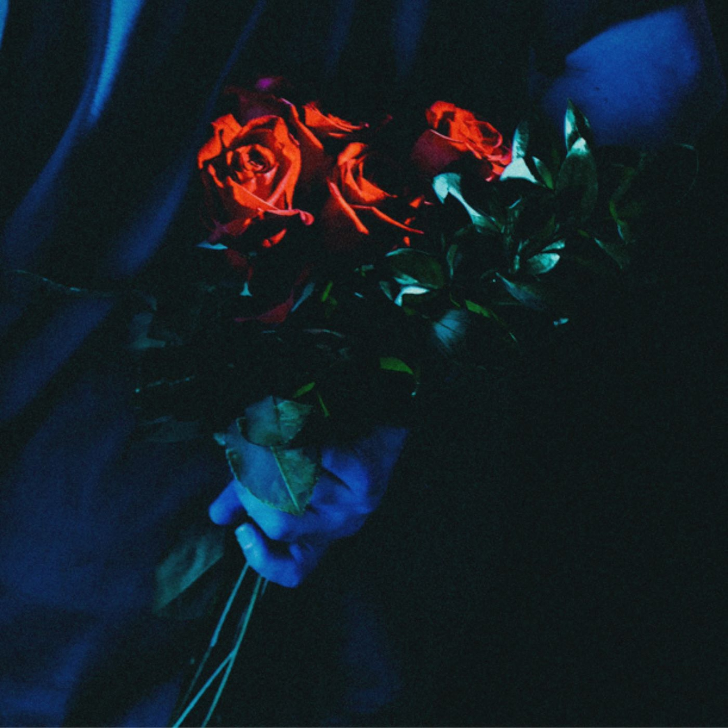 TYYE – “whole thing”: An In-Depth Review