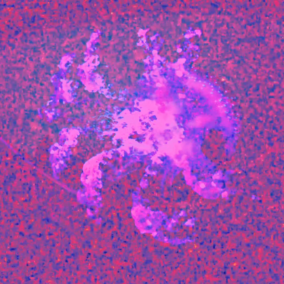 Patrick T Jenkinson – “No Mean Feat”: An In-Depth Review