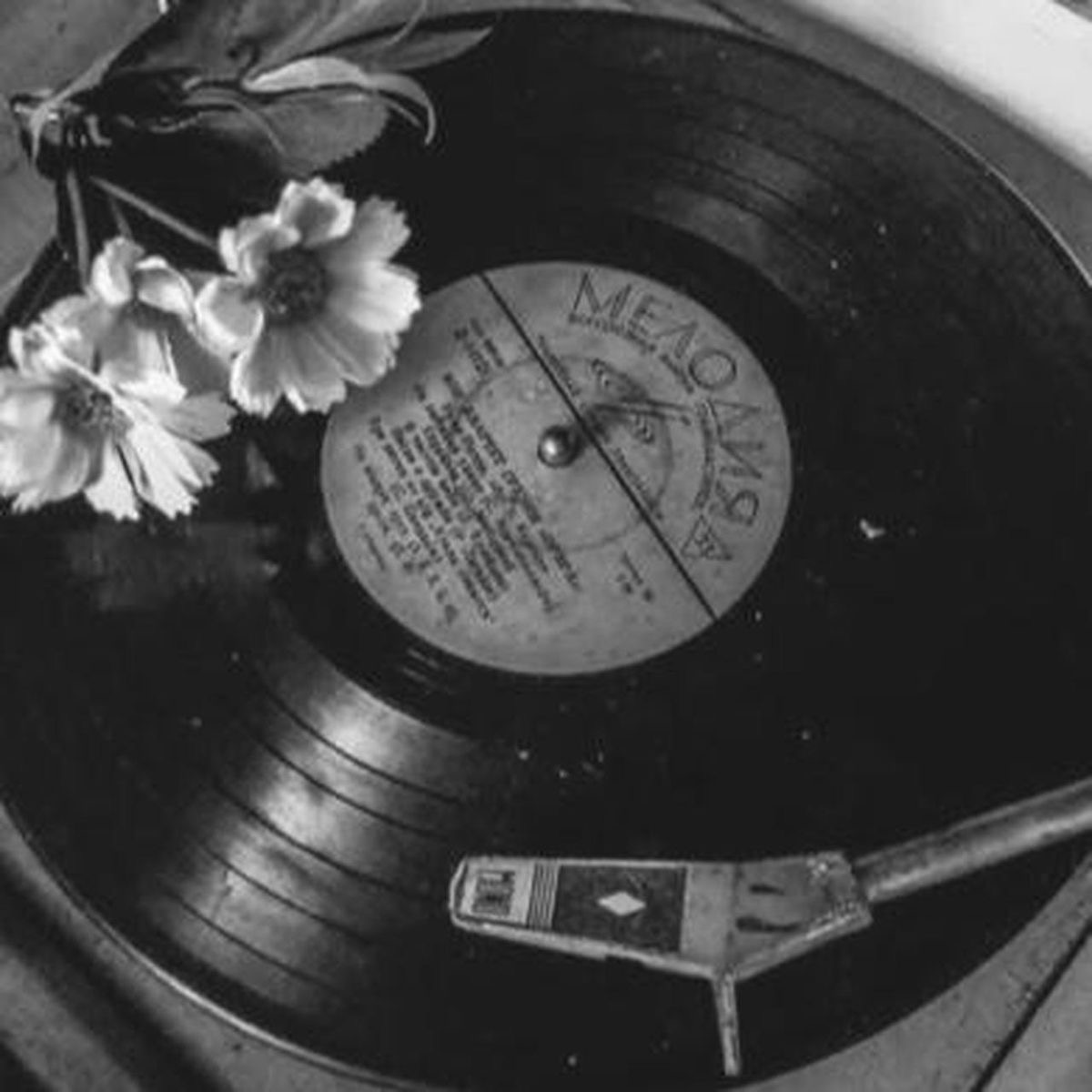 Artists That Moved Us This Week 🎧