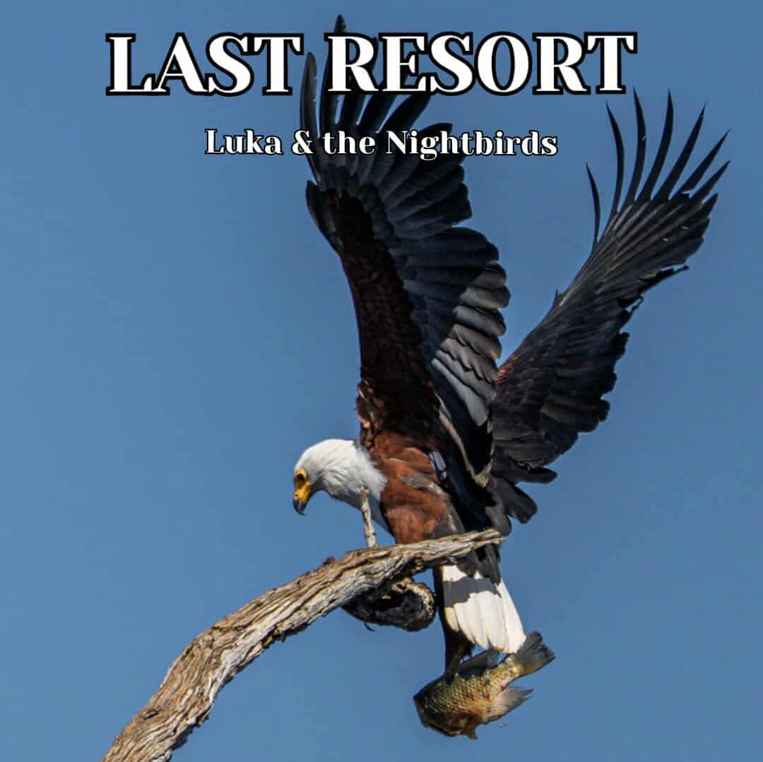 LUKA & THE NIGHTBIRDS – “LAST RESORT”