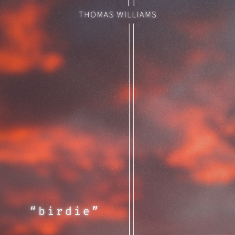 Thomas Williams Turns Heartbreak Into Atmosphere on “Birdie”