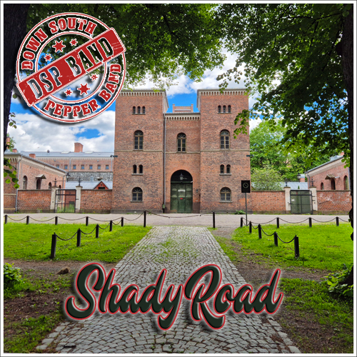 Down South Pepper Band Blend Humour and Hard Truths on New Country Rock Single “Shady Road”